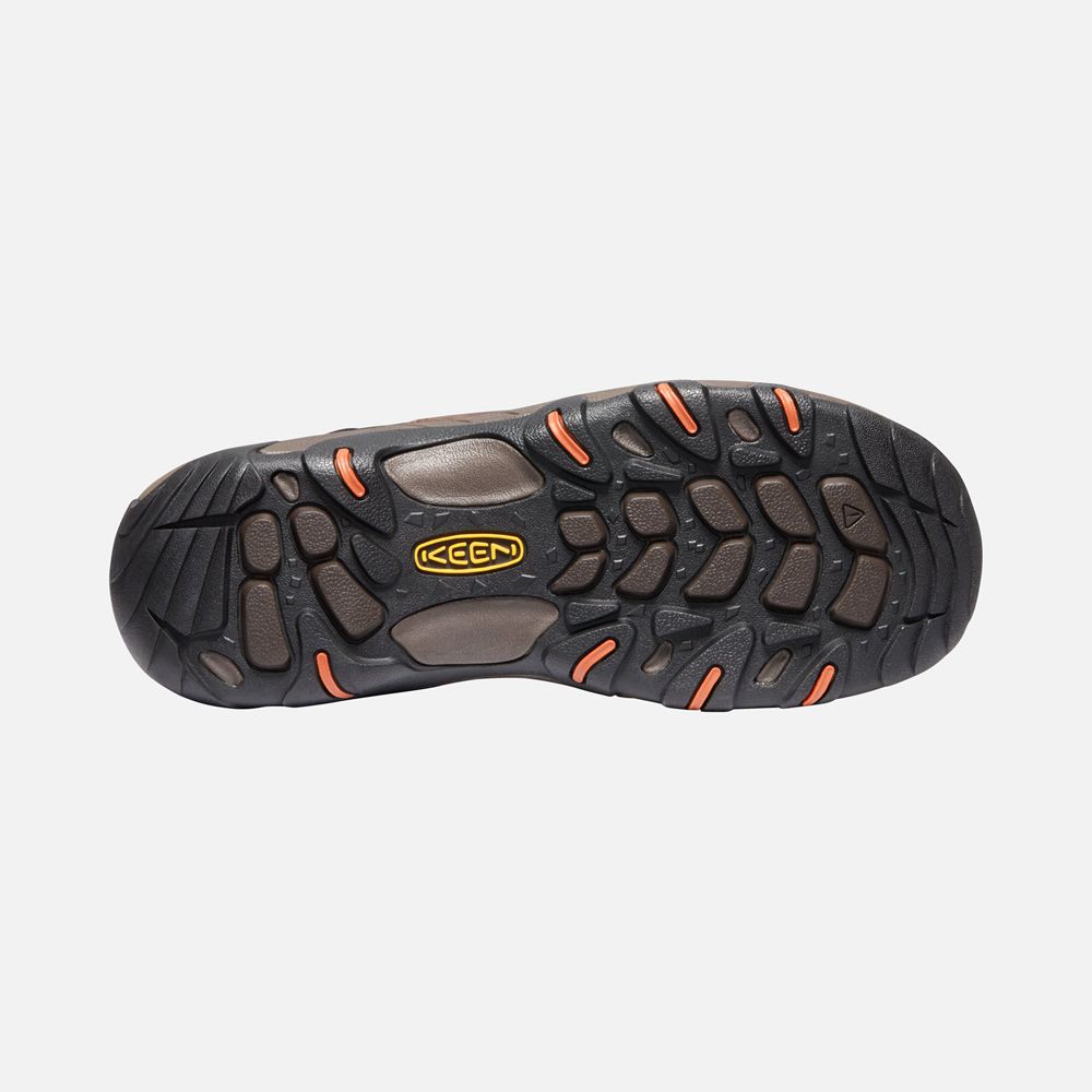 Keen Outdoor Bot Erkek Kahverengi - Steens Polar - Türkiye FYNS35697